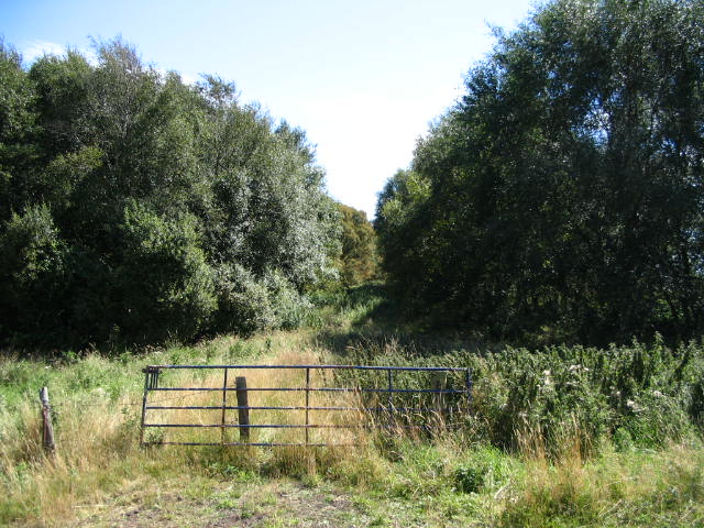 Image 2 of 20  -  93 kB