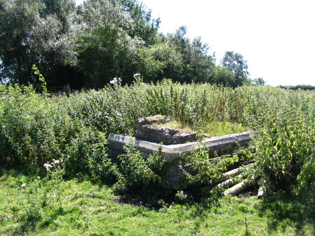 Image 3 of 20  -  116 kB