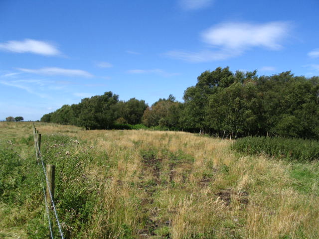 Image 4 of 20  -  71 kB